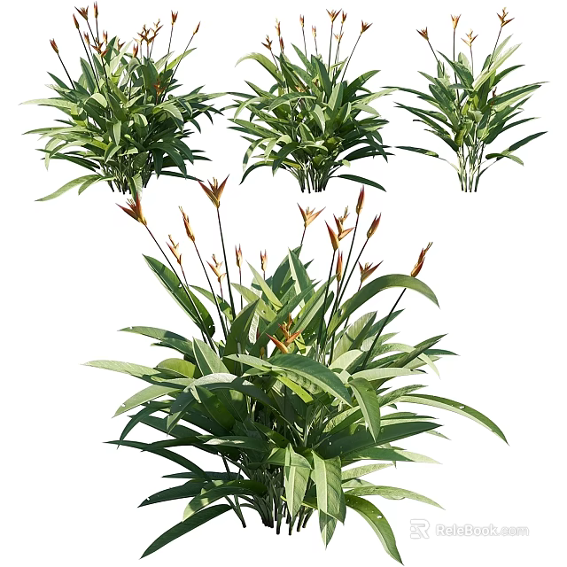 Potted Garden Plants With Green Long Leaves And Orange Flower Stems 3d model 