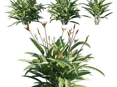 Potted Garden Plants With Green Long Leaves And Orange Flower Stems 3d model