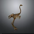 Brown Dinosaur Skeleton Model Display With Long Neck And Gray Gradient Background 3d model