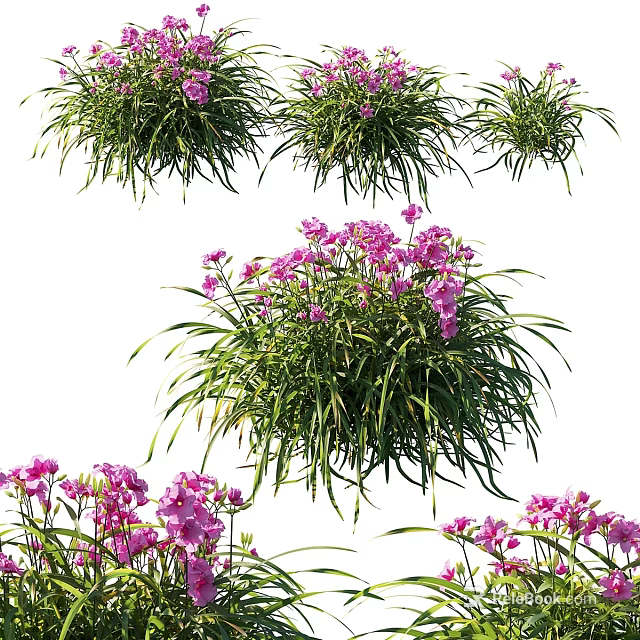 Natural Decorative Ornament Set With Purple Flowers And Green Leafy Foliage 3d model 