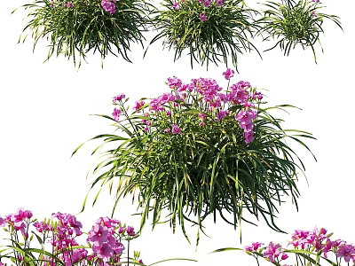 Natural Decorative Ornament Set With Purple Flowers And Green Leafy Foliage 3d model