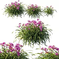 Natural Decorative Ornament Set With Purple Flowers And Green Leafy Foliage