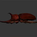 Red Beetle With Large Horns And Vibrant Shiny Exoskeleton On Dark Background