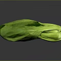 Fresh Green Leafy Vegetable For Healthy Organic Household Daily Use