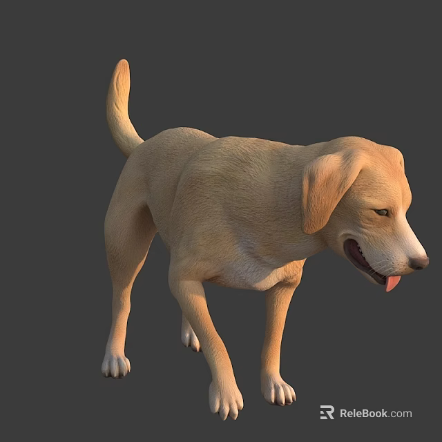 3D Rendered Yellow Labrador Dog in Standing Pose with Tongue Out 3d model 