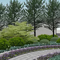 Modern White Building Facade With Curved Design And Vertical Slats Surrounded By Greenery