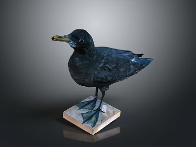Black Bird Standing On Square Wooden Base With Detailed Feathers 3d model