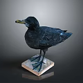 Black Bird Standing On Square Wooden Base With Detailed Feathers