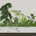 Bonsai Potted Plants With Various Leaf Shapes And Hanging Small Plants In Long White Container