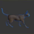 Orange Domestic Cat Walking On Gray Surface With Side View And Reflection 3d model