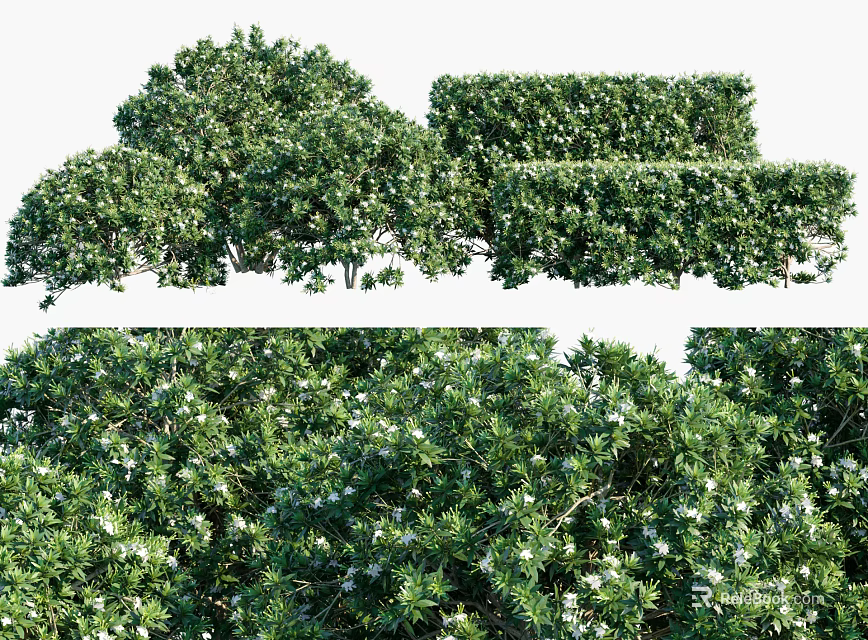 Lush Green Shrubs with White Flowers Trimmed Hedges and Natural Growth for Garden Landscaping 3d model 