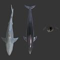 Modern Shark Cartoon Shark 3d model