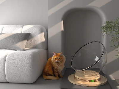 Transparent Spherical Indoor Pet Cage With Wooden Base Near Gray Sofa And Orange Cat 3d model