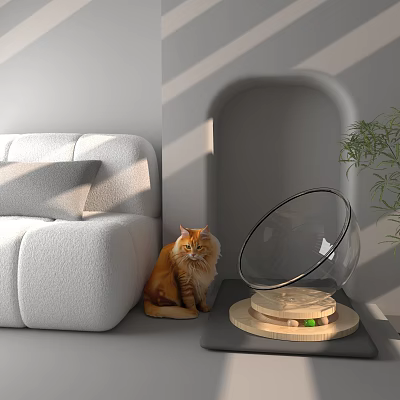 Transparent Spherical Indoor Pet Cage With Wooden Base Near Gray Sofa And Orange Cat 3d model
