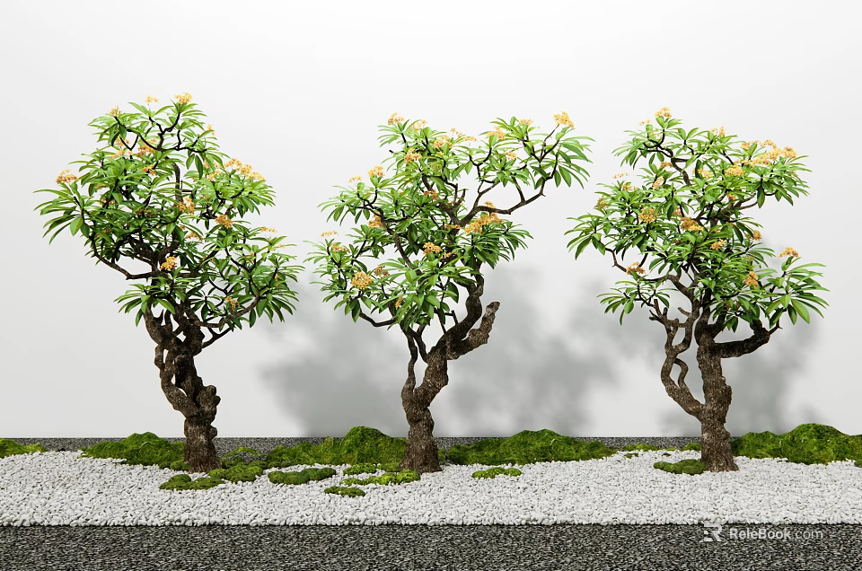 Trees With Curved Trunks Green Leaves Yellow Flowers On Gravel Ground With Moss White Wall 3d model 