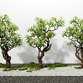 egg flower tree landscape tree moss plant 3d model