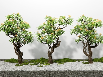 egg flower tree landscape tree moss plant 3d model