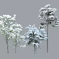 Snow Covered Arbor With White Snow On Branches In Beautiful Winter Scene