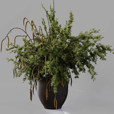 Bonsai Plant With Lush Green Foliage And Drooping Twigs In Brown Ceramic Pot 3d model