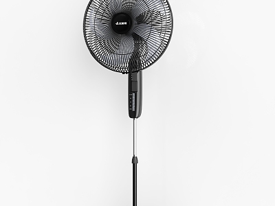 Fan model