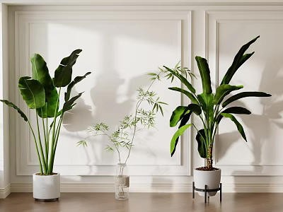 Indoor Decorative Potted Plants with Large Leaves Bamboo White Pots Clear Vase Black Stand 3d model