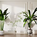 Indoor Decorative Potted Plants with Large Leaves Bamboo White Pots Clear Vase Black Stand
