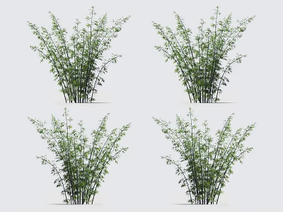 Lush Green Bamboo Plants With Tall Stems And Fresh Leaves 3d model