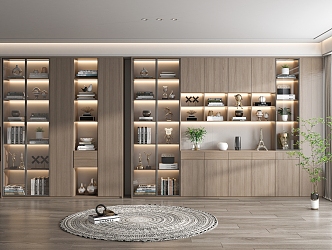 Modern bookcase 3d model