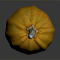 Fresh Orange Pumpkin On Dark Background With Shiny Surface Reflection