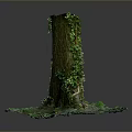 Tall Tree Trunk Covered with Green Vines and Moss at Base with Small Plants