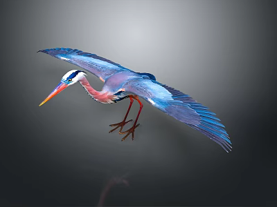 Flying Heron With Spread Blue Wings Red Neck Yellow Beak And Red Legs 3d model