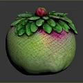 Green And Pink Gradient Decorative Fruit With Lush Green Leafy Top And Red Accent