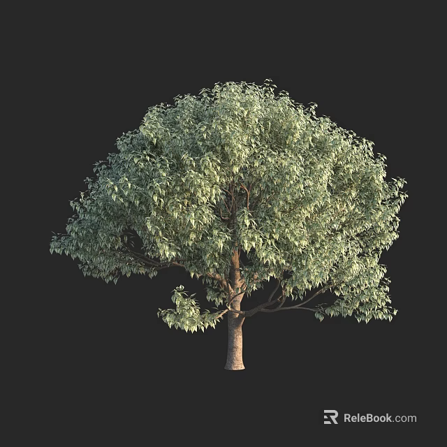 Tall Tree With Lush Green Foliage And Brown Trunk Full Canopy 3d model 