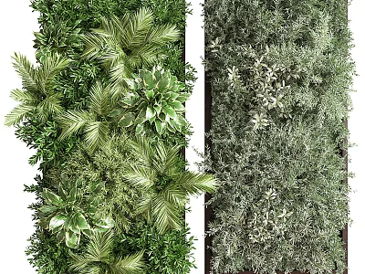 Indoor Living Plant Wall Decoration with Various Green Plants and Lush Natural Foliage 3d model