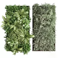 Indoor Living Plant Wall Decoration with Various Green Plants and Lush Natural Foliage