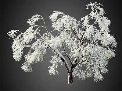 3D Rendered White Arbor with Lush Branches and Leaves on Dark Background 3d model