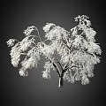 3D Rendered White Arbor with Lush Branches and Leaves on Dark Background