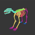 Detailed Animal Skeleton Model With Light Color And Dark Background Reflection 3d model