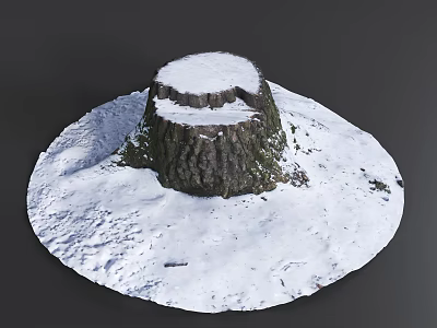Snow Covered Tree Stump Standing On White Snowy Ground Surface 3d model