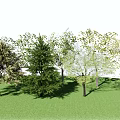 Modern Tree Landscape Tree 3d model