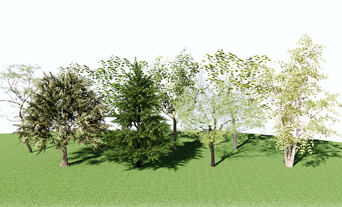 Modern Tree Landscape Tree 3d model