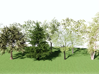 Modern Tree Landscape Tree 3d model