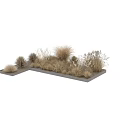 Tree Pit Landscaping Design With Various Ornamental Grasses And Concrete Border