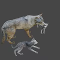 Game And Movie Wolf Characters With Adult And Baby Wolves In Family Group