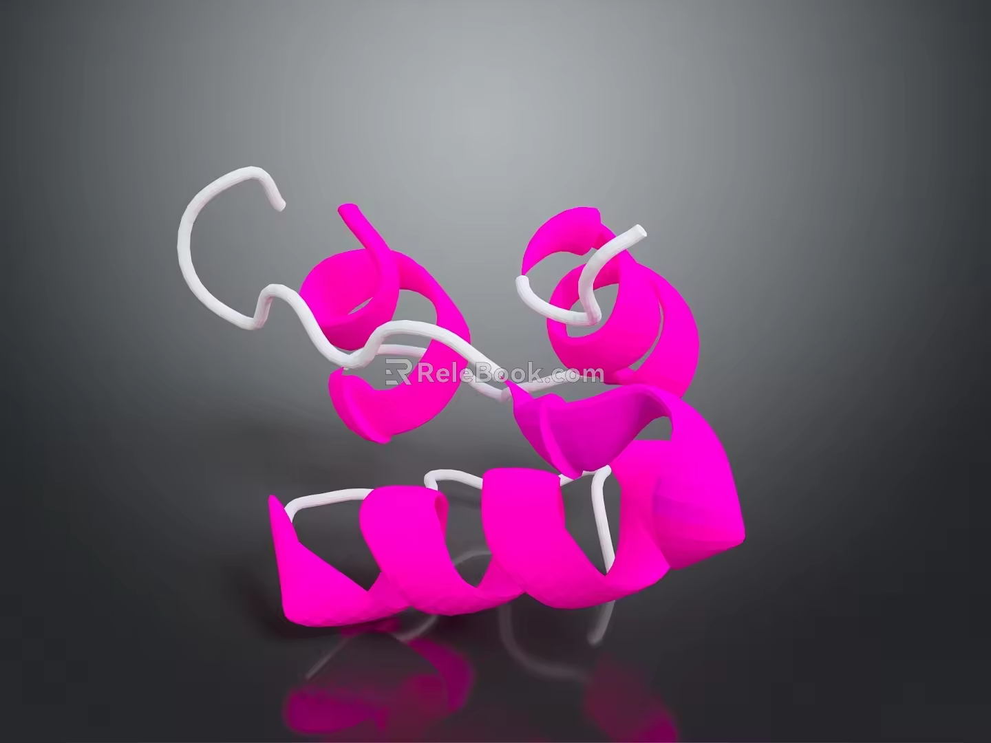 Bacteria Eukaryotic cell Cross section Cell structure Cell tissue Anatomical organ 3d model