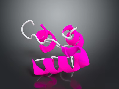 Bacteria Eukaryotic cell Cross section Cell structure Cell tissue Anatomical organ 3d model