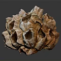 Orange and White Aquatic Sponge with Porous Structure and Multiple Holes