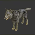 Realistic Standing Wolf 3D Model With Grey Fur Open Mouth And Dark Background 3d model