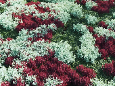 Vibrant Red And White Shrubs In Lush Green Garden Landscape Design 3d model