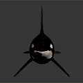 Orca Marine Animal Model With Black And White Body Dorsal Fin And Pectoral Fin